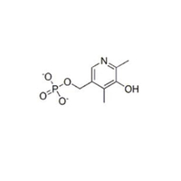 비타민 B6(8059-24-3)C10H16N2O3S