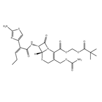 CEFCapene Pivoxil (105889-45-0) C23H29N5O8S2.